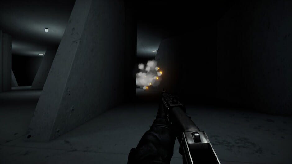 Capture de Project 1337: The Well