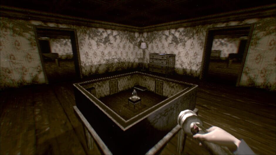 Capture de Somnifuge
