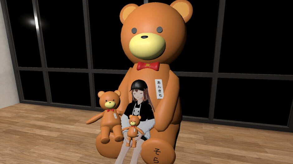 Capture de Holo8