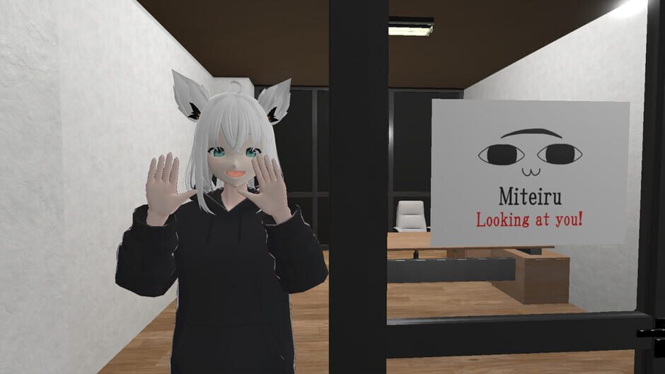 Capture de Holo8