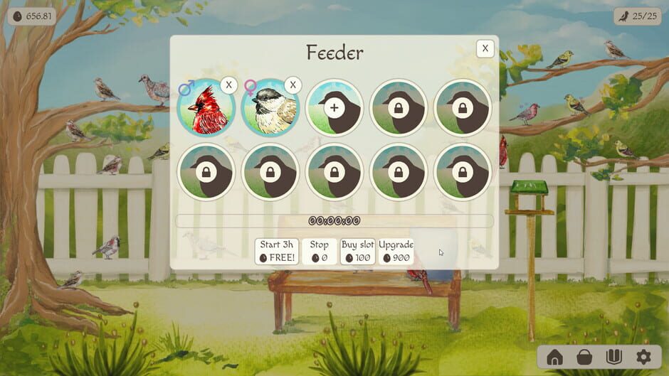 Capture de Birdfull