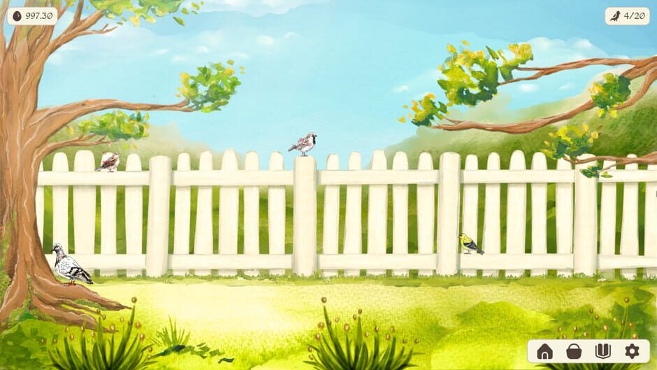 Capture de Birdfull