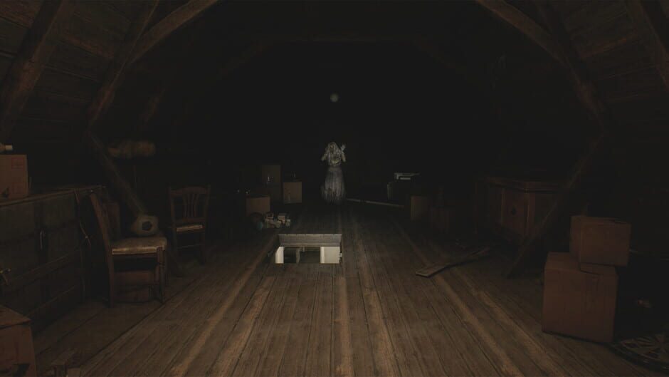 Capture de House of Lost Souls