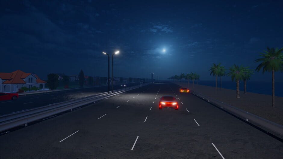 Capture de Motorcycle Night Ride