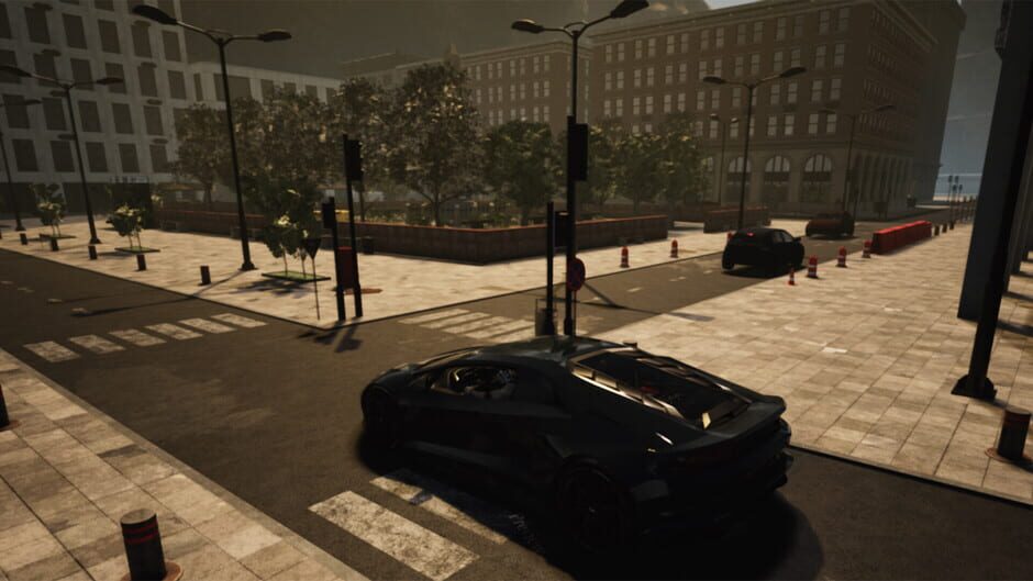 Capture de Nisukka Racing Simulation
