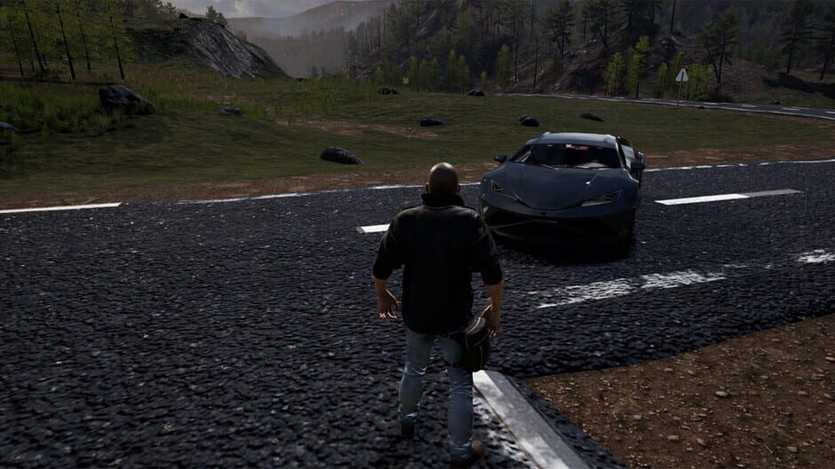 Capture de Nisukka Racing Simulation