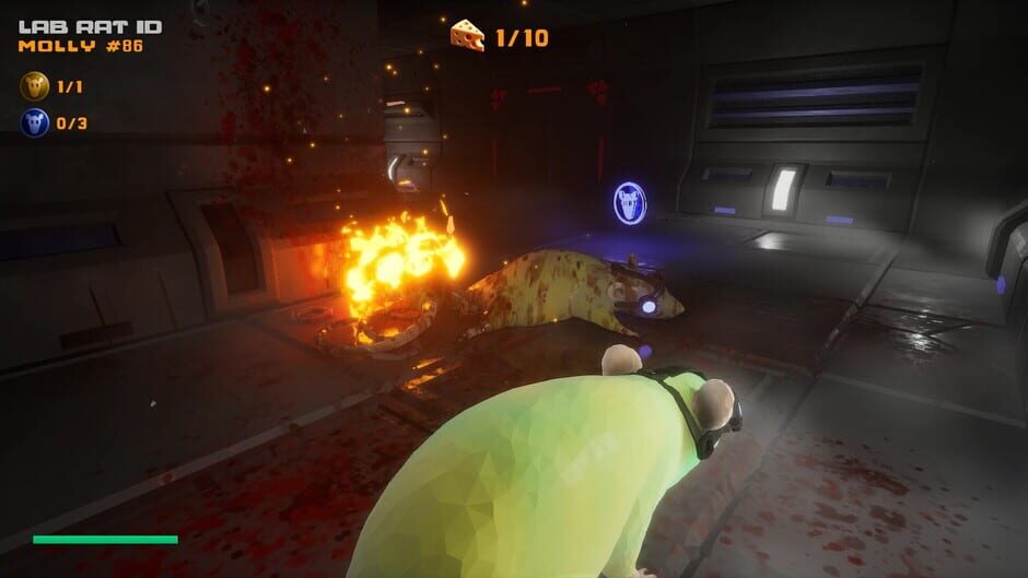 Capture de Cyber Rats