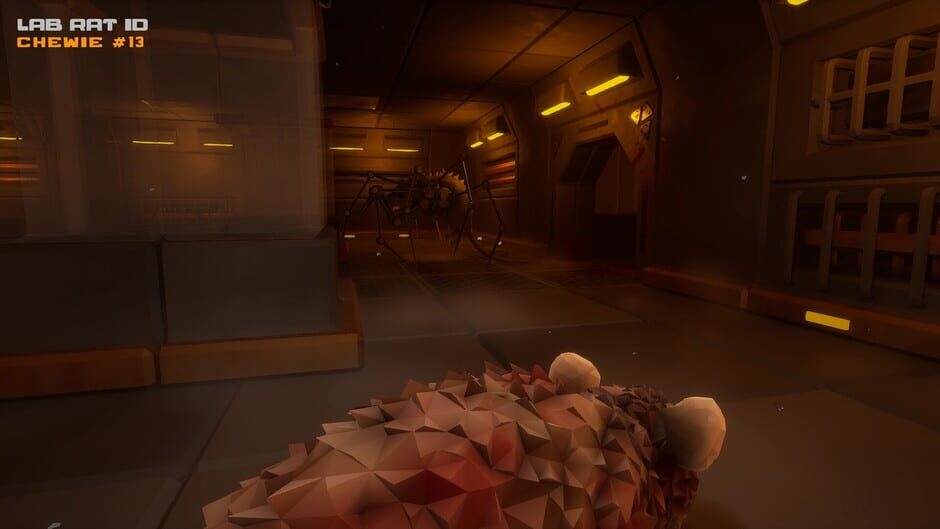 Capture de Cyber Rats