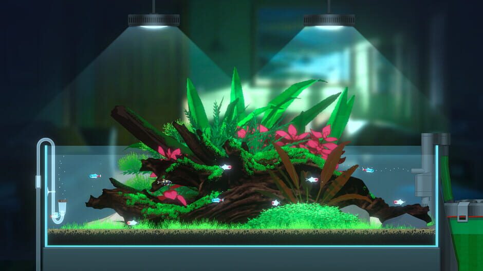 Capture de Joyquarium