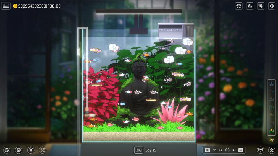 Capture de Joyquarium