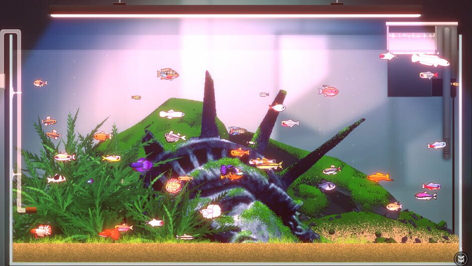 Capture de Joyquarium