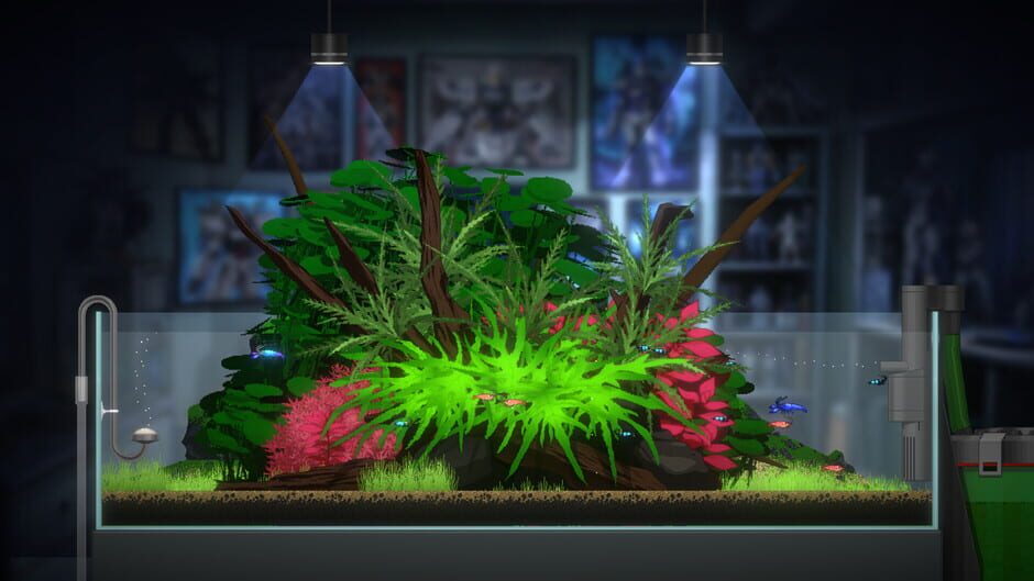 Capture de Joyquarium