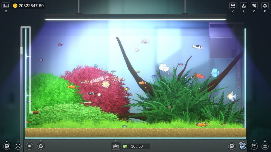 Capture de Joyquarium