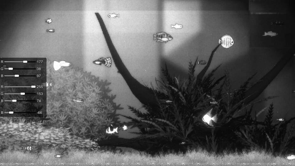 Capture de Joyquarium