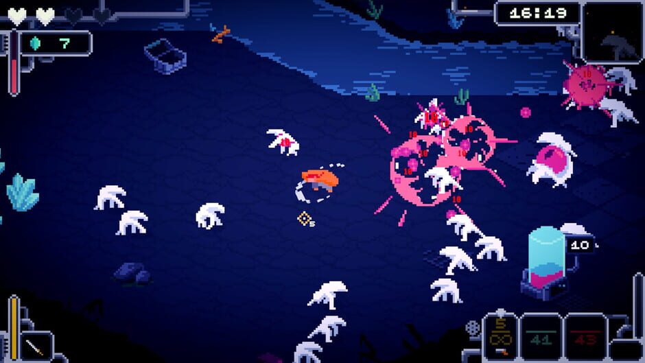 Capture de Bermuda Survivor