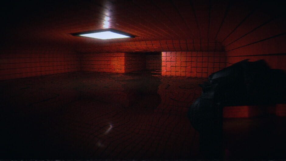 Capture de HorrorCore: Maze and Pools of Horror