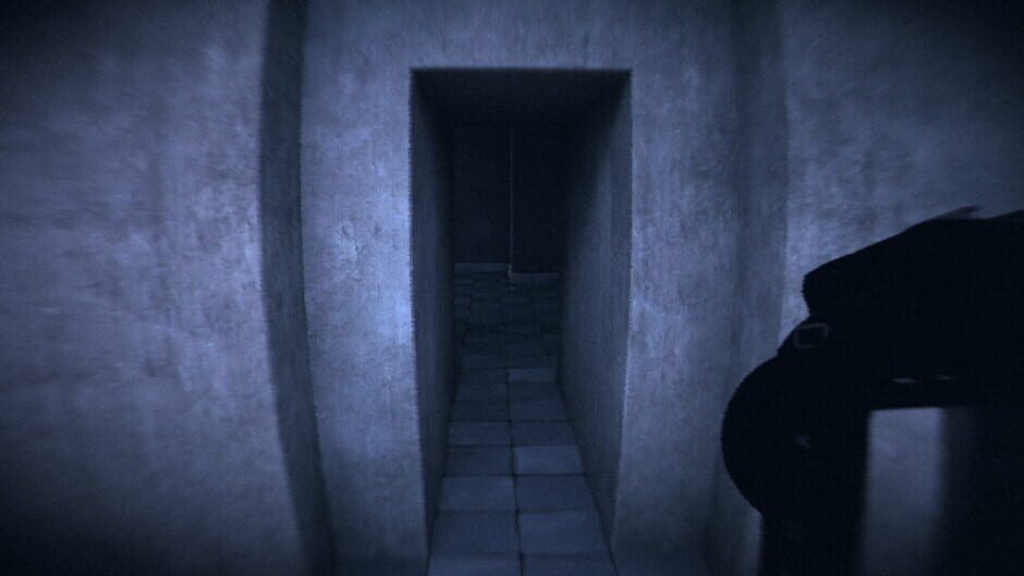 Capture de HorrorCore: Maze and Pools of Horror