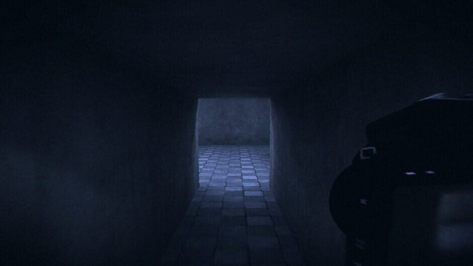 Capture de HorrorCore: Maze and Pools of Horror