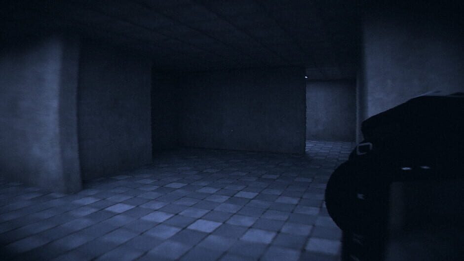 Capture de HorrorCore: Maze and Pools of Horror
