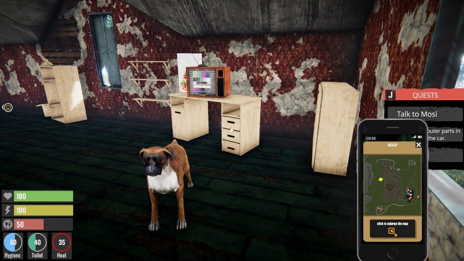 Capture de Streamer Life Simulator