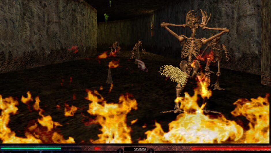 Capture de Lands of Lore III