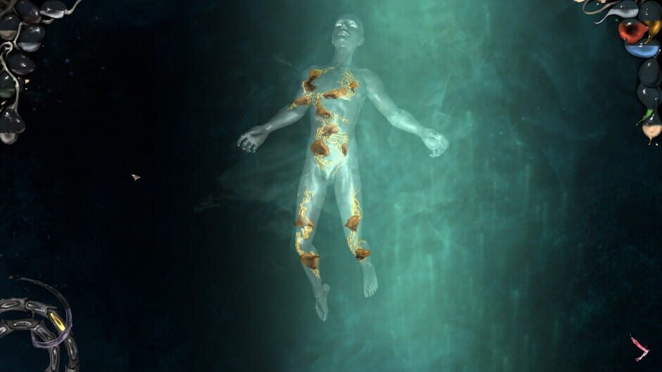 Capture de The Void