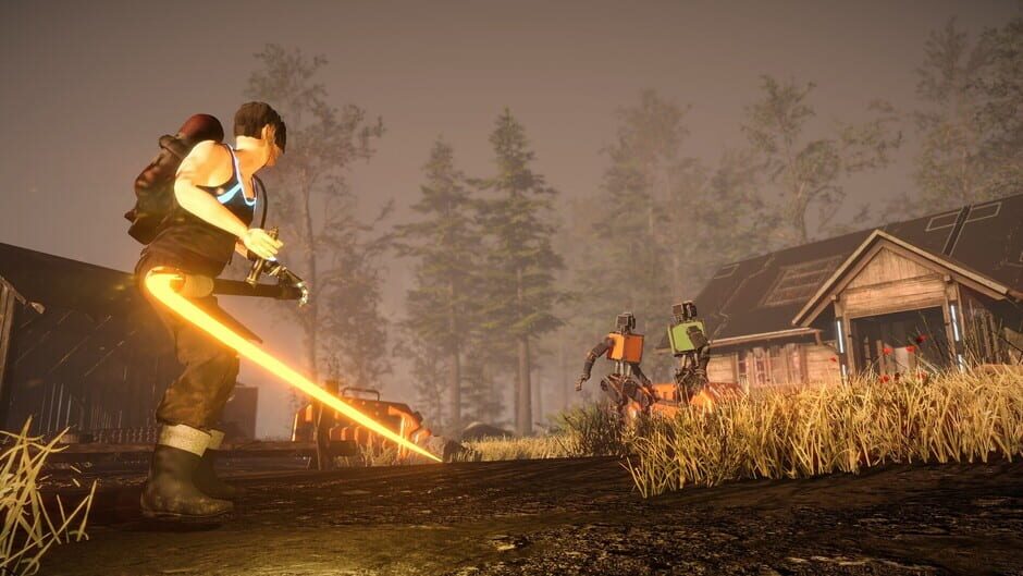 Capture de Cyber Farmer
