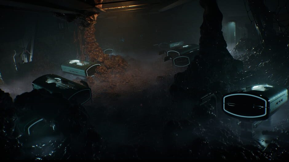 Capture de Directive 8020