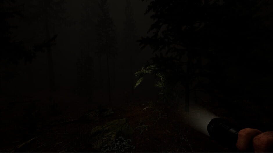 Capture de Wail