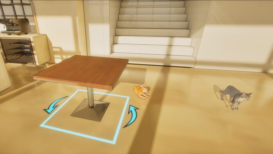 Capture de Cat Home