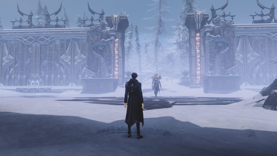 Capture de Solo Leveling: Arise Overdrive