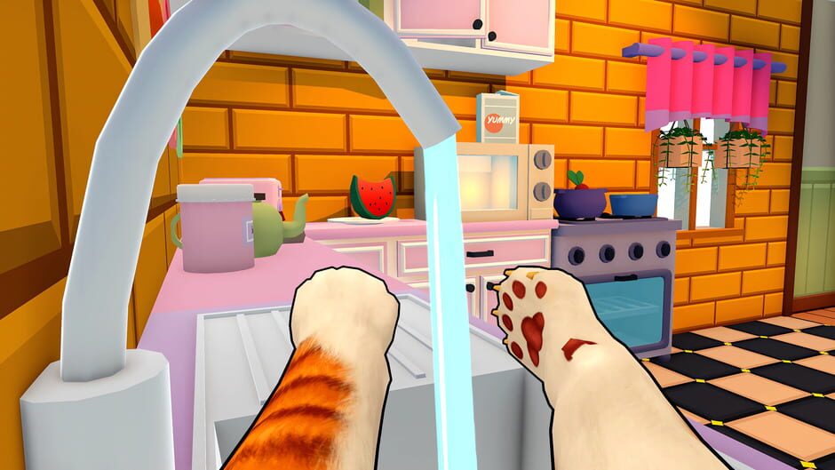 Capture de Bad Cat