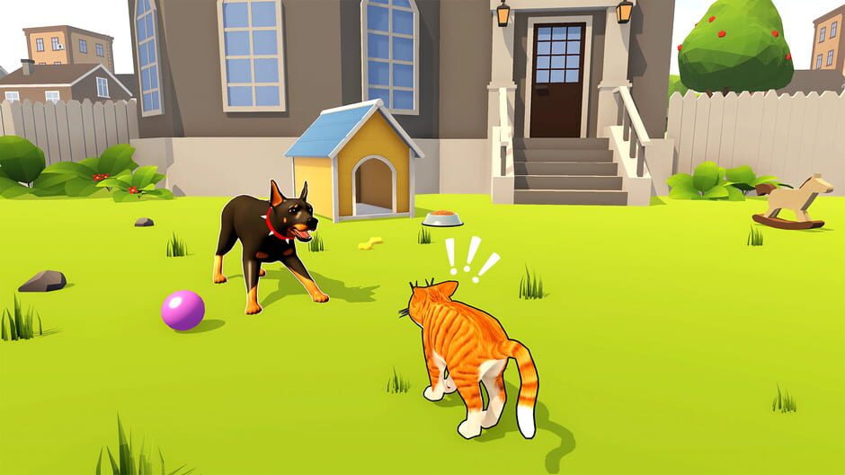Capture de Bad Cat