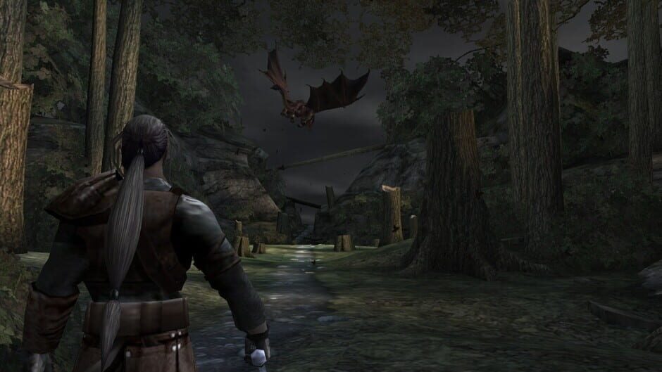 Capture de Forgotten Realms: Demon Stone