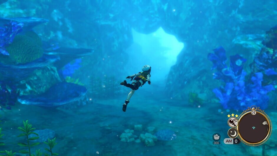 Capture d’Atelier Ryza 2: Lost Legends & the Secret Fairy DX