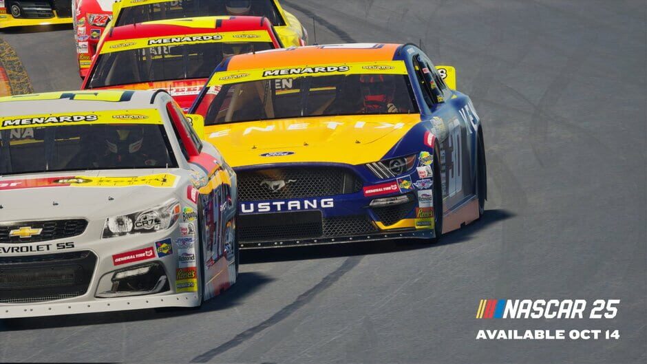 Capture de NASCAR 25