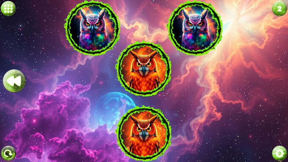 Capture de Space Memory: Owls