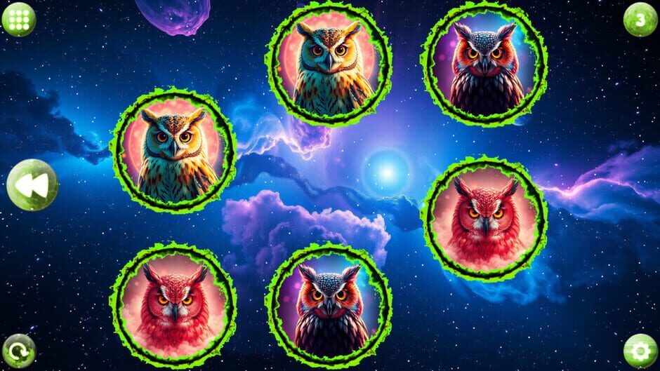 Capture de Space Memory: Owls