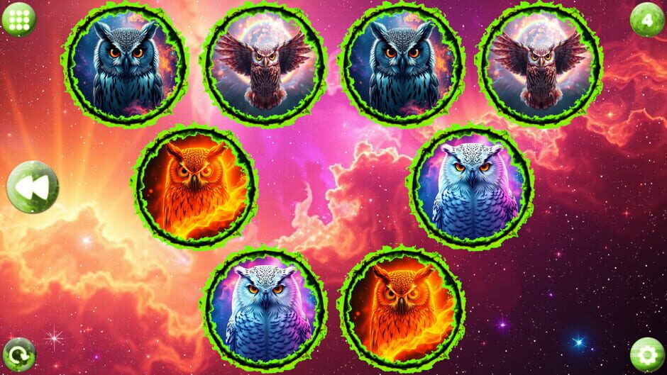 Capture de Space Memory: Owls