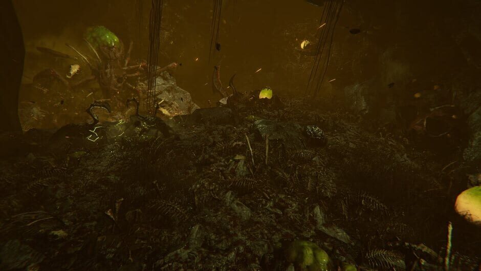 Capture de Seeking Dawn