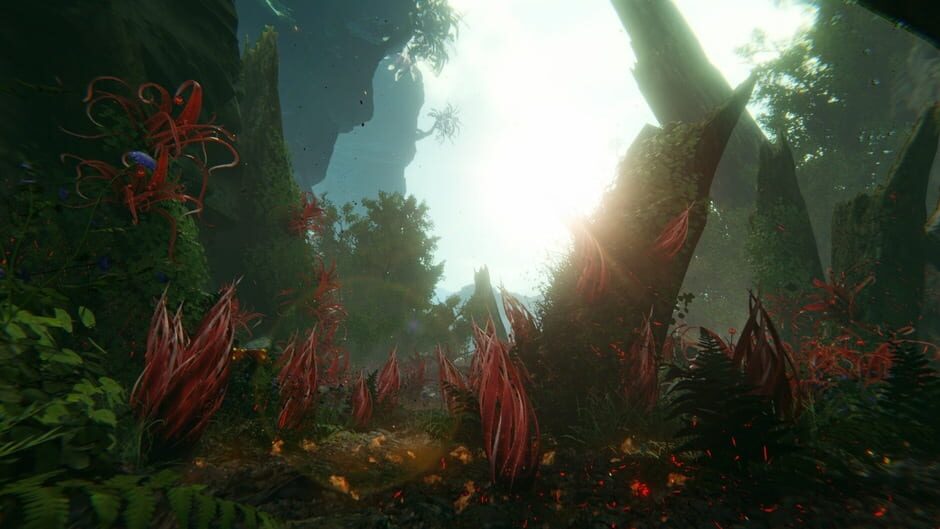 Capture de Seeking Dawn