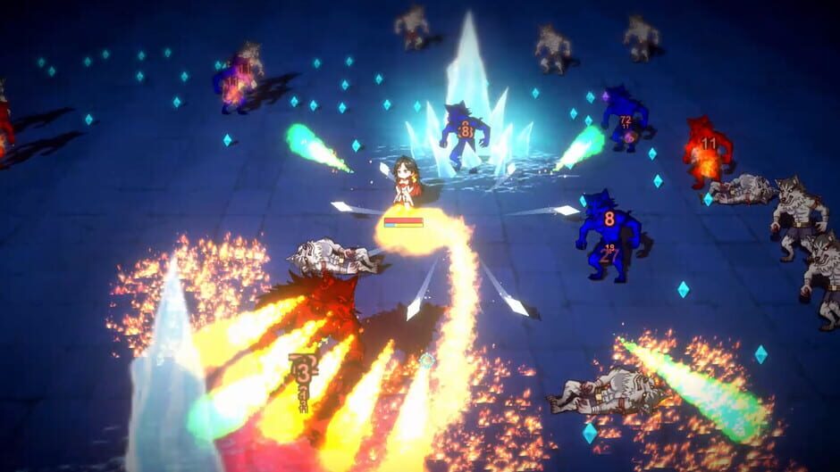 Capture de Dungeon Maiden: Survivor