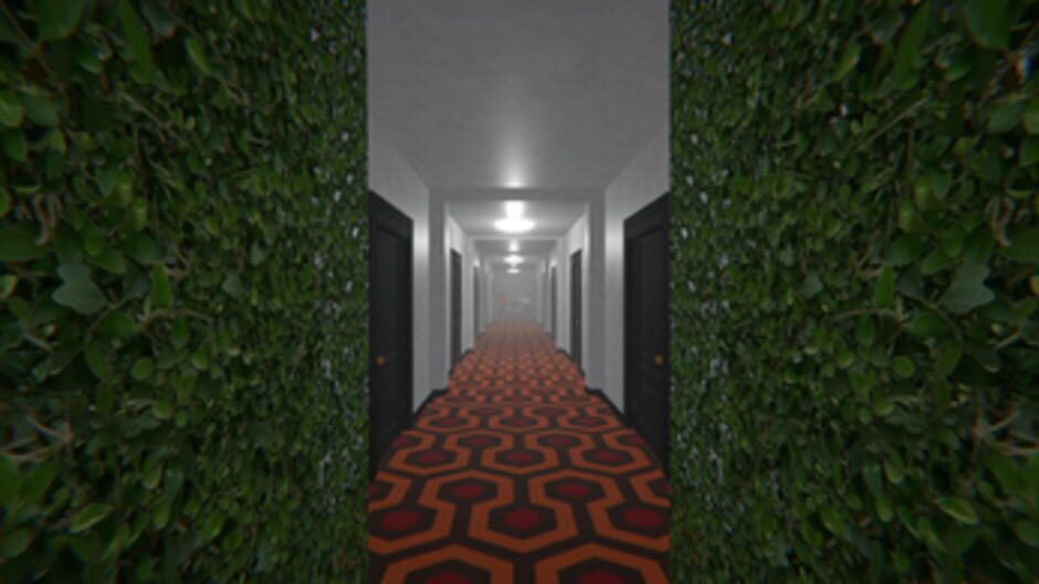 Capture de Project Maze