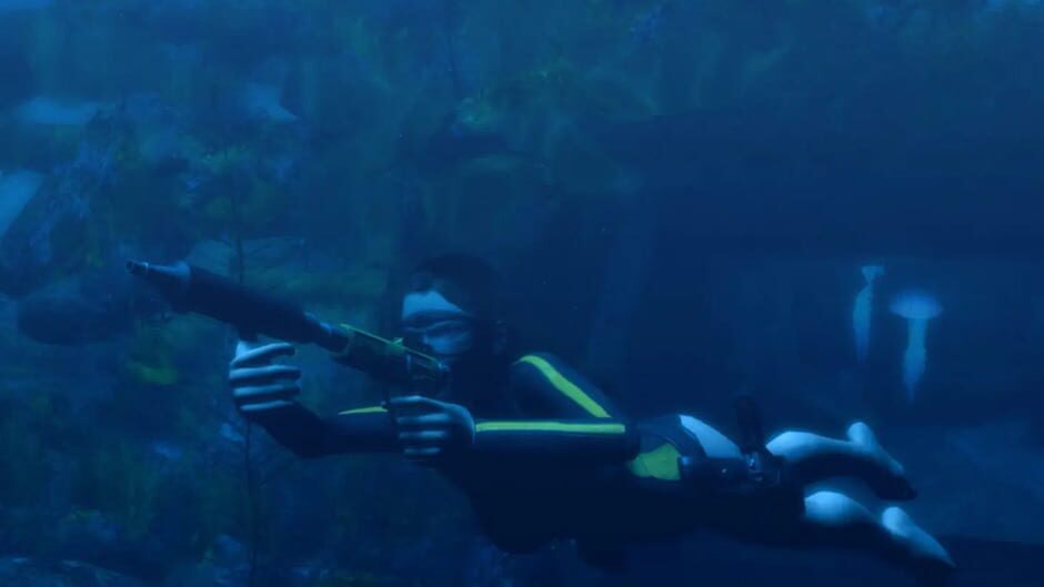 Capture de Tomb Raider: Underworld