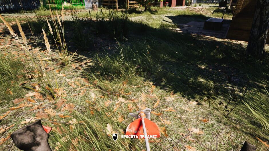 Capture de Dacha