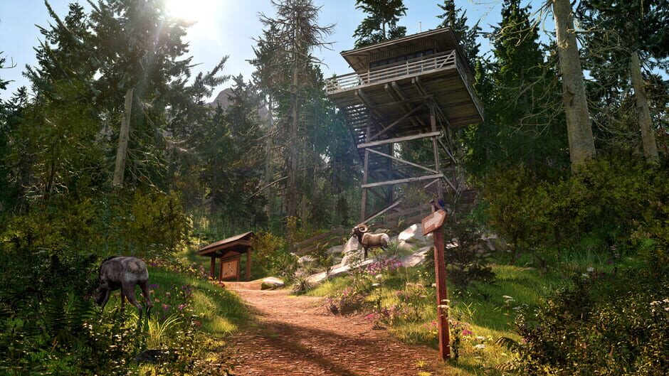 Capture de Ranger’s Path: National Park Simulator