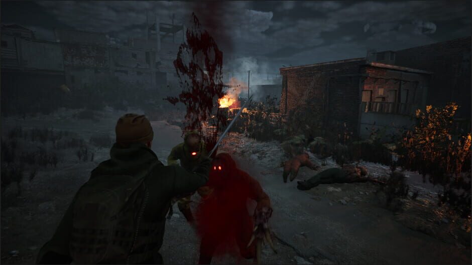 Capture de The Last Zone