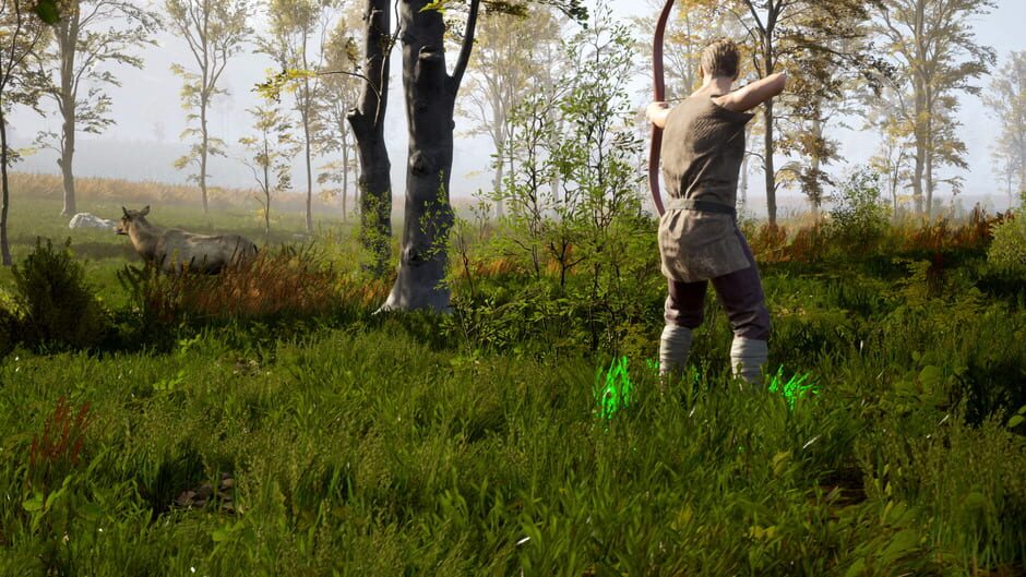 Capture de Valorborn