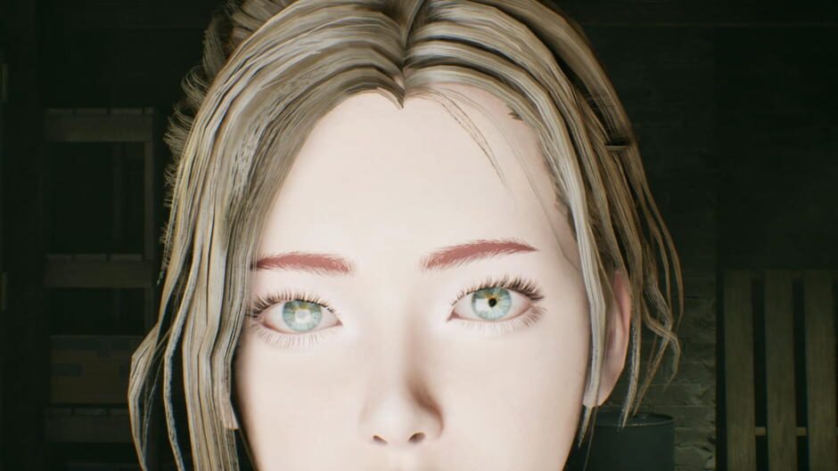 Capture de The Evelyn Game