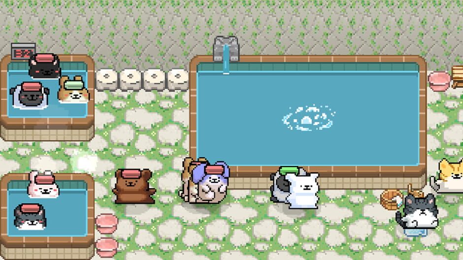 Capture de Maltese's Fluffy Onsen